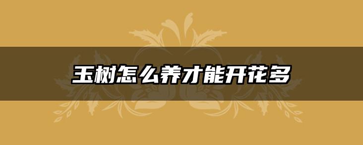 玉树怎么养才能开花多