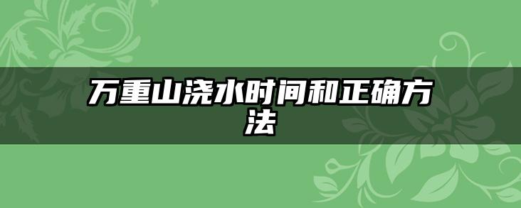 万重山浇水时间和正确方法