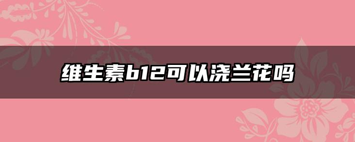 维生素b12可以浇兰花吗