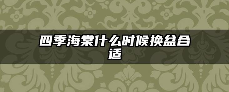 四季海棠什么时候换盆合适