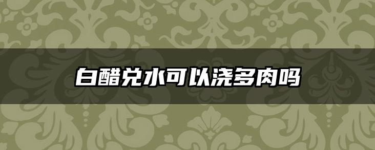 白醋兑水可以浇多肉吗
