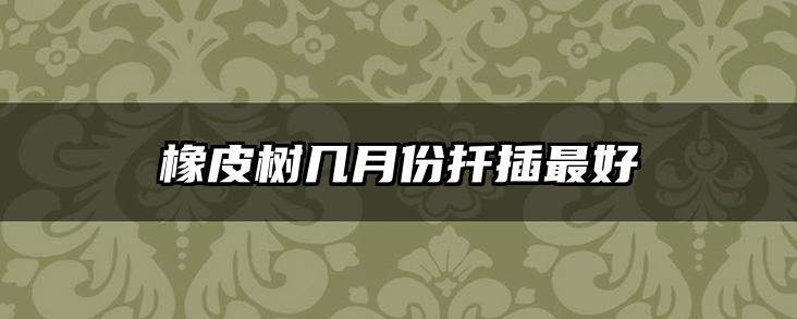 橡皮树几月份扦插最好
