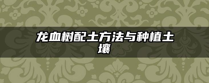 龙血树配土方法与种植土壤