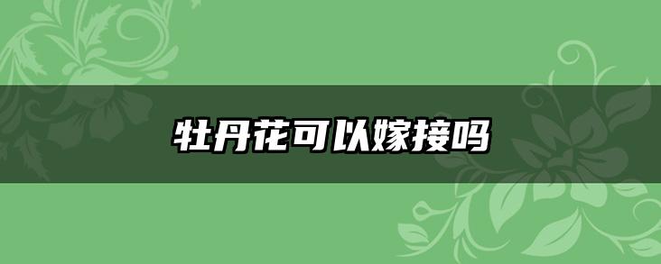 牡丹花可以嫁接吗