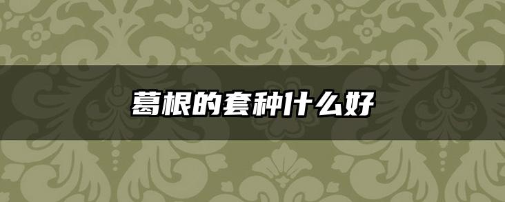 葛根的套种什么好