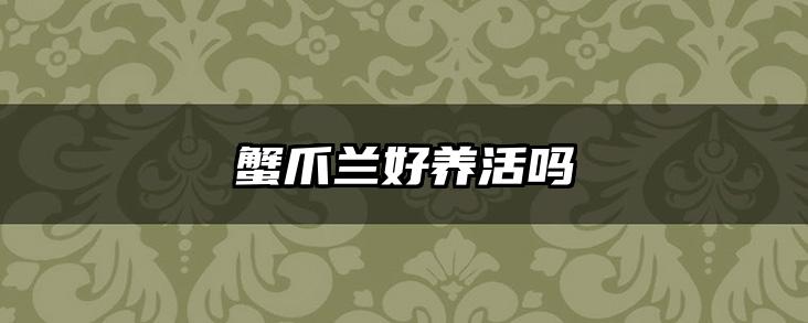 蟹爪兰好养活吗