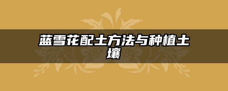 蓝雪花配土方法与种植土壤