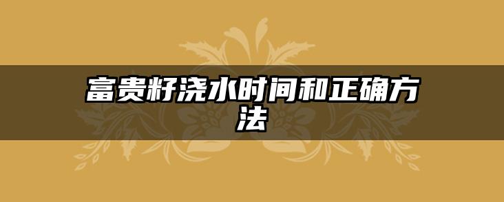 富贵籽浇水时间和正确方法
