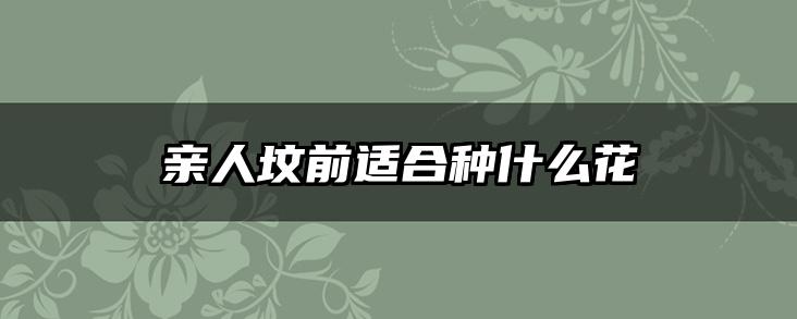 亲人坟前适合种什么花