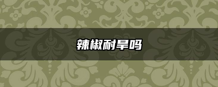 辣椒耐旱吗