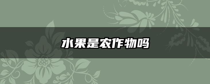 水果是农作物吗