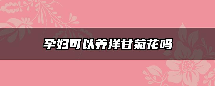 孕妇可以养洋甘菊花吗