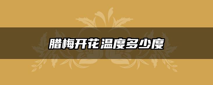 腊梅开花温度多少度