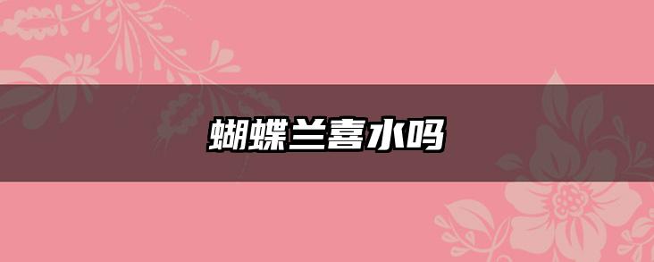 蝴蝶兰喜水吗