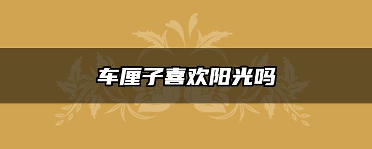 车厘子喜欢阳光吗
