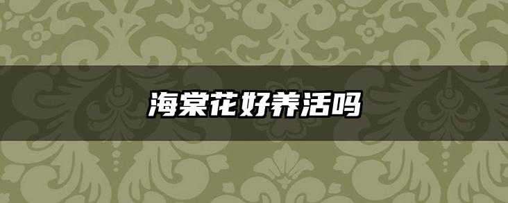 海棠花好养活吗