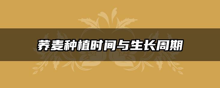 荞麦种植时间与生长周期