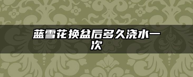 蓝雪花换盆后多久浇水一次