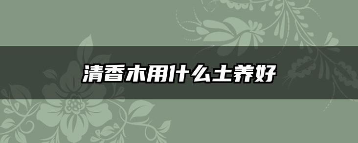 清香木用什么土养好