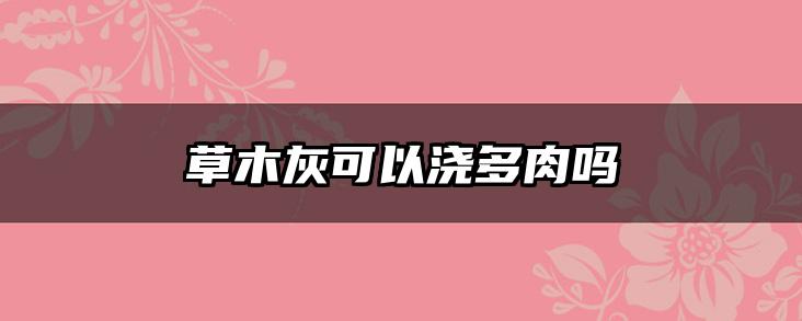 草木灰可以浇多肉吗