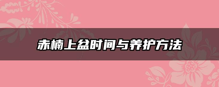赤楠上盆时间与养护方法