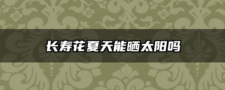 长寿花夏天能晒太阳吗