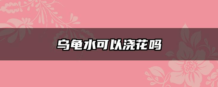 乌龟水可以浇花吗