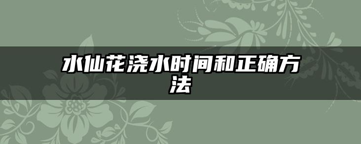 水仙花浇水时间和正确方法