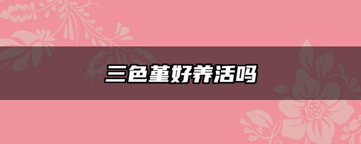三色堇好养活吗