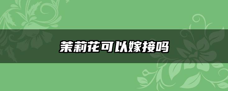 茉莉花可以嫁接吗