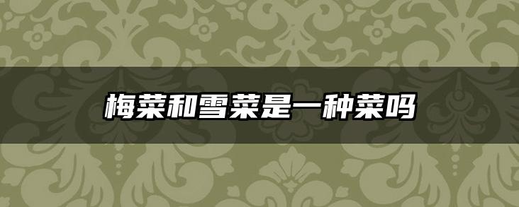 梅菜和雪菜是一种菜吗