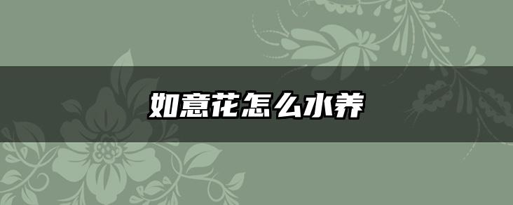 如意花怎么水养