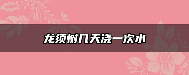 龙须树几天浇一次水