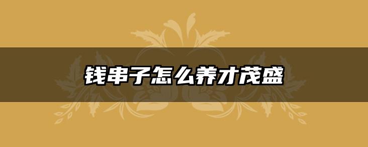 钱串子怎么养才茂盛