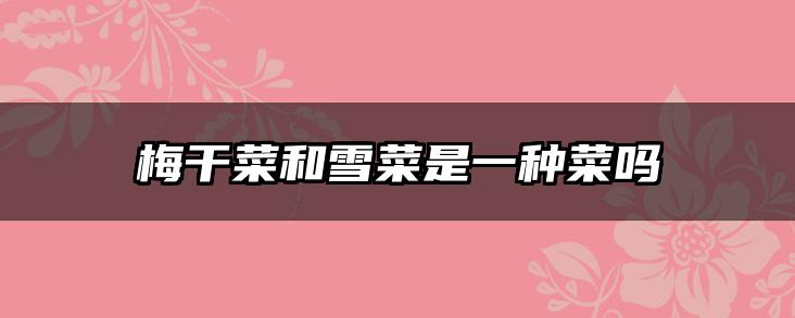 梅干菜和雪菜是一种菜吗