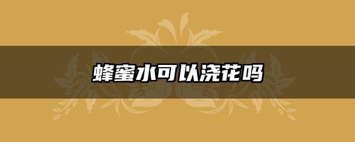 蜂蜜水可以浇花吗