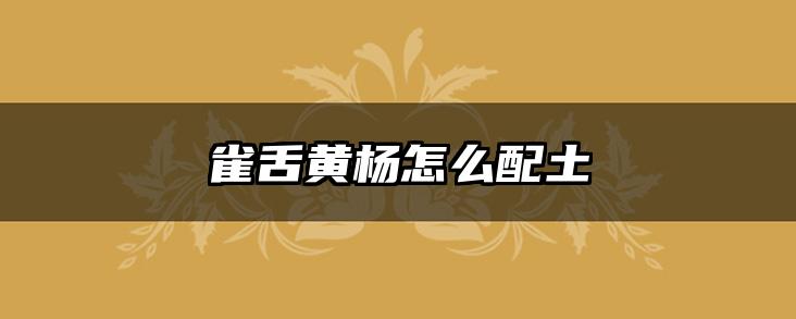 雀舌黄杨怎么配土