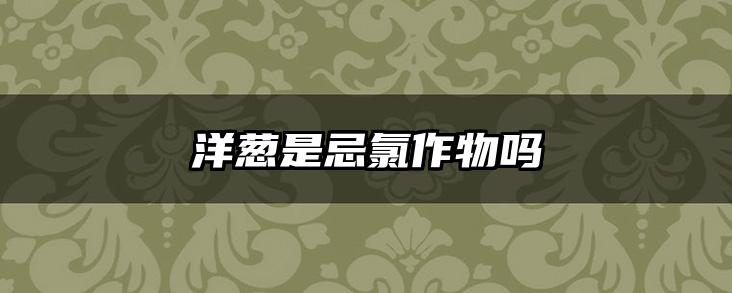 洋葱是忌氯作物吗