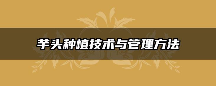 芋头种植技术与管理方法
