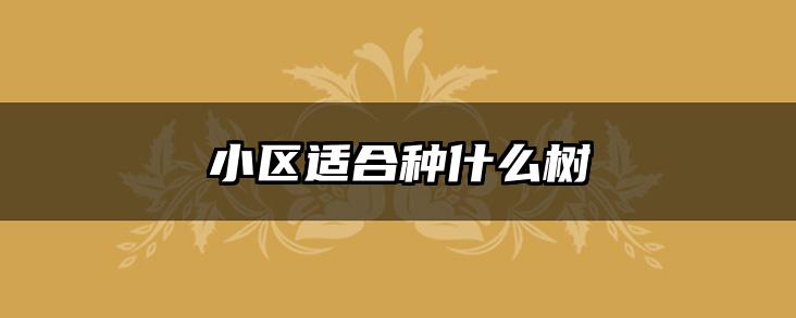小区适合种什么树