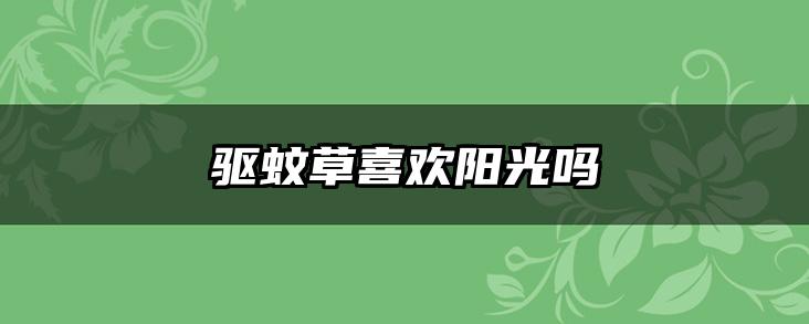 驱蚊草喜欢阳光吗