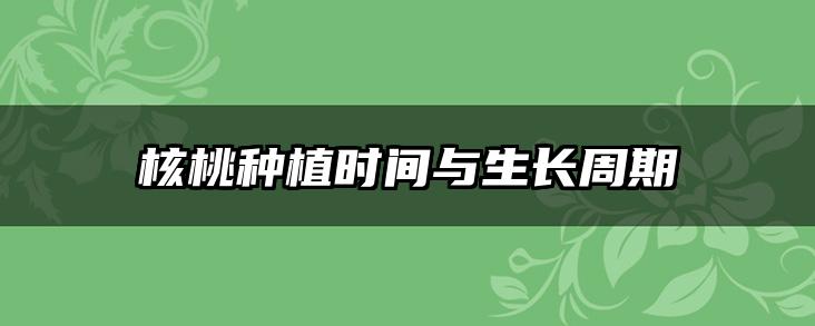 核桃种植时间与生长周期