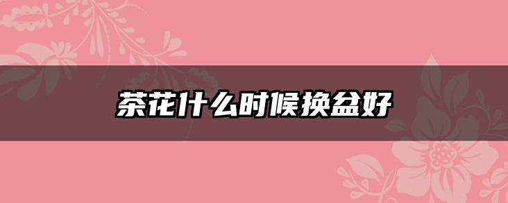 茶花什么时候换盆好