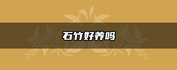 石竹好养吗