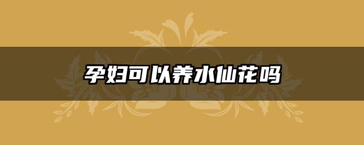 孕妇可以养水仙花吗
