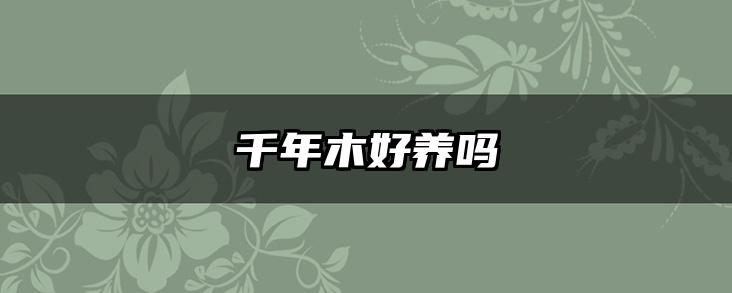 千年木好养吗