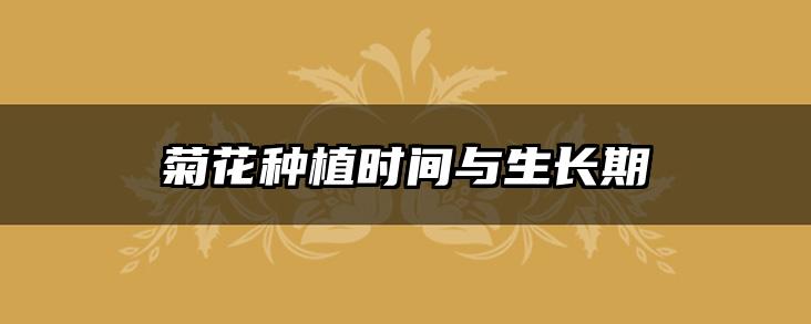 菊花种植时间与生长期