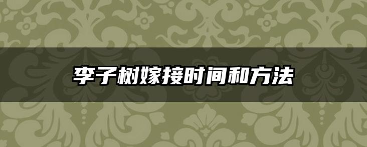 李子树嫁接时间和方法