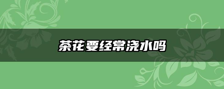 茶花要经常浇水吗