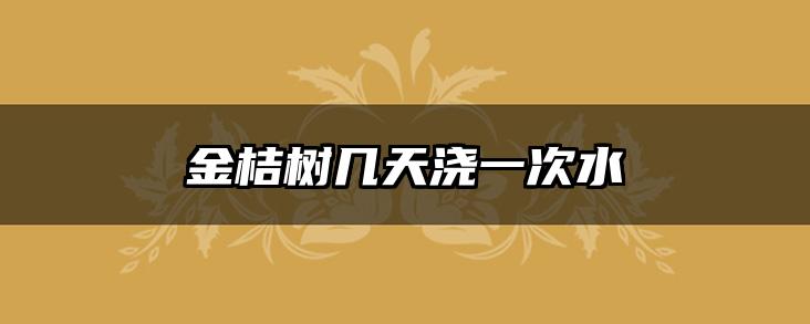 金桔树几天浇一次水